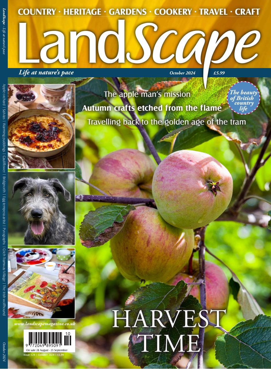 LandScape Preview Pages