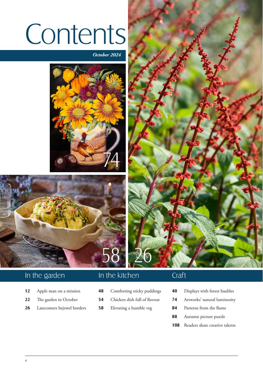 LandScape Preview Pages