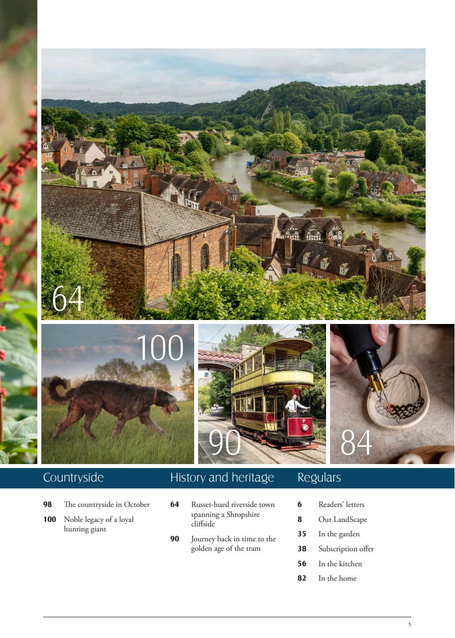 LandScape Preview Pages