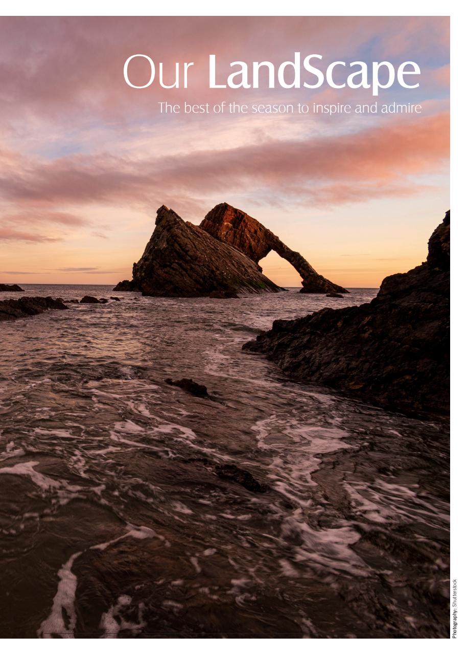 LandScape Preview Pages