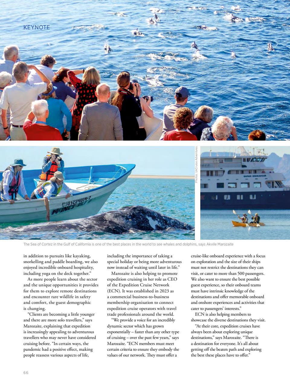 Cruise & Ferry Preview Pages