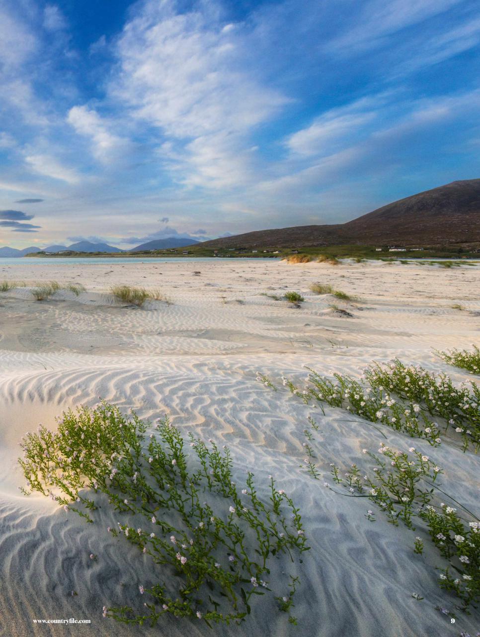BBC Countryfile Magazine Preview Pages