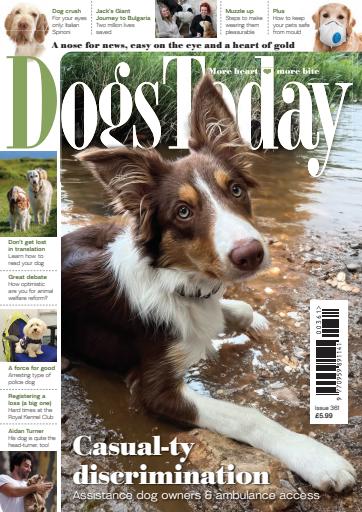 Dogs Today Magazine issue 