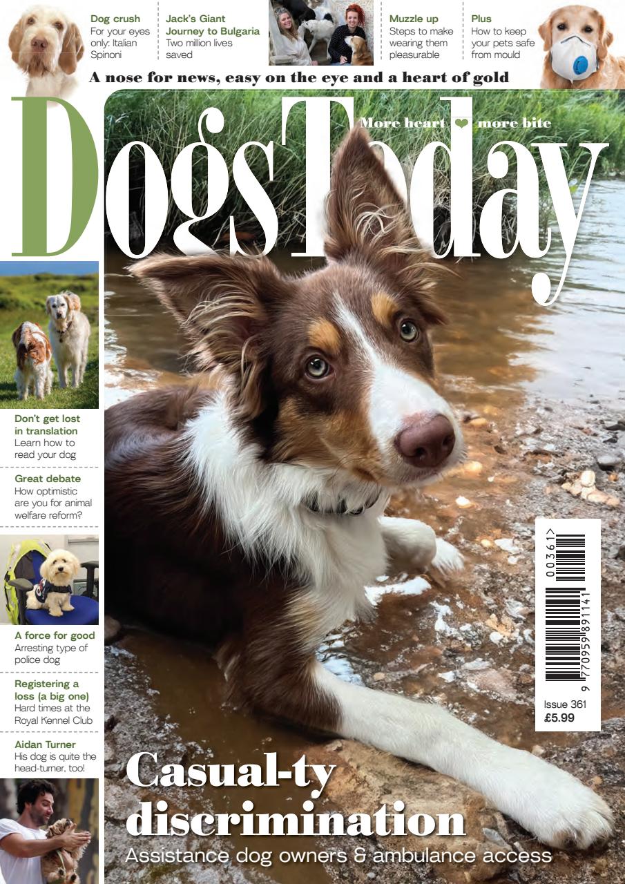 Dogs Today Magazine Preview Pages