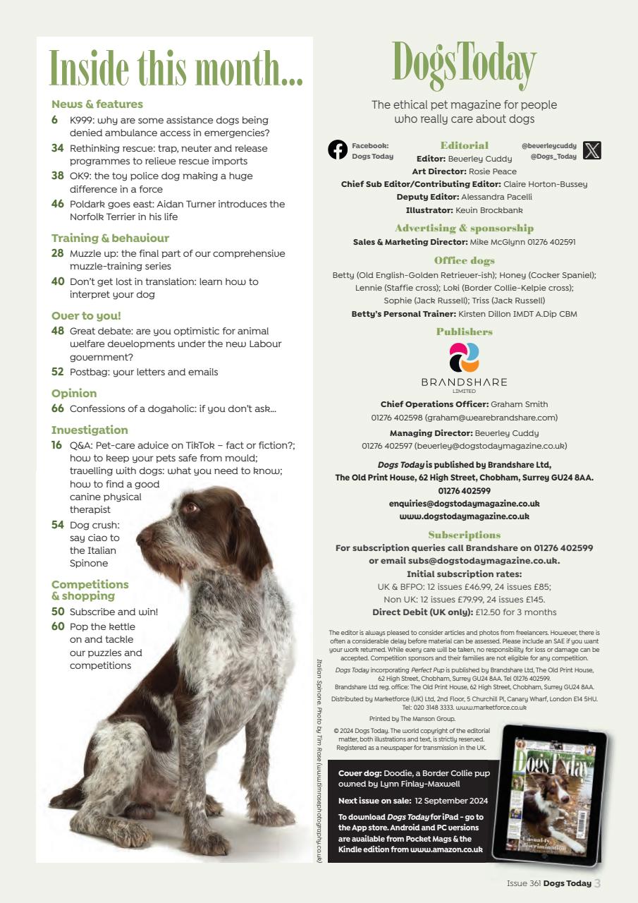 Dogs Today Magazine Preview Pages