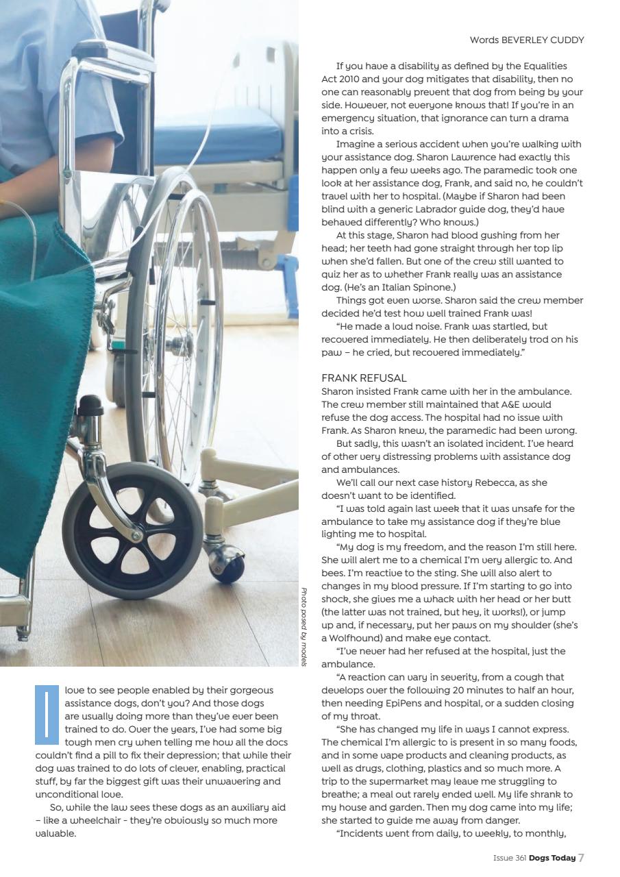 Dogs Today Magazine Preview Pages