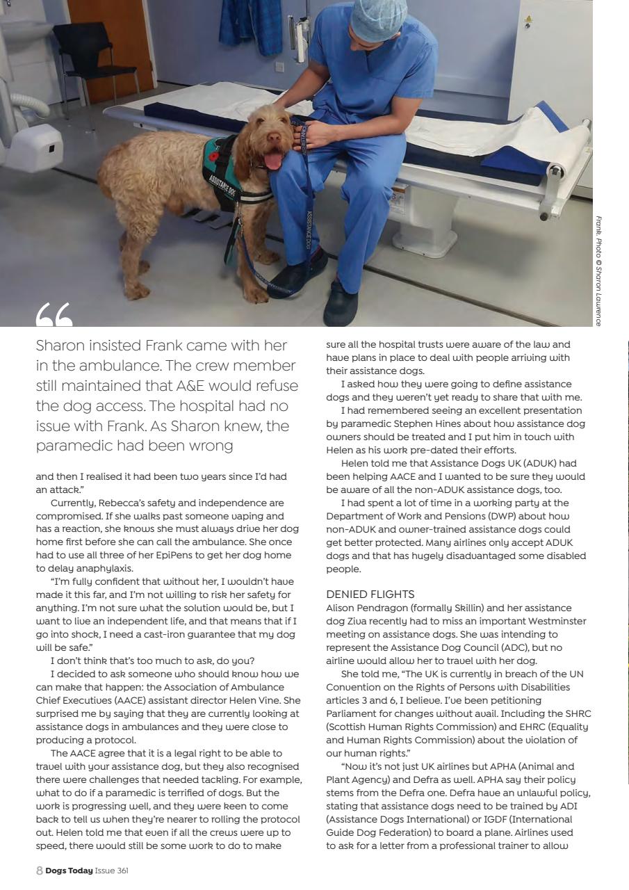 Dogs Today Magazine Preview Pages