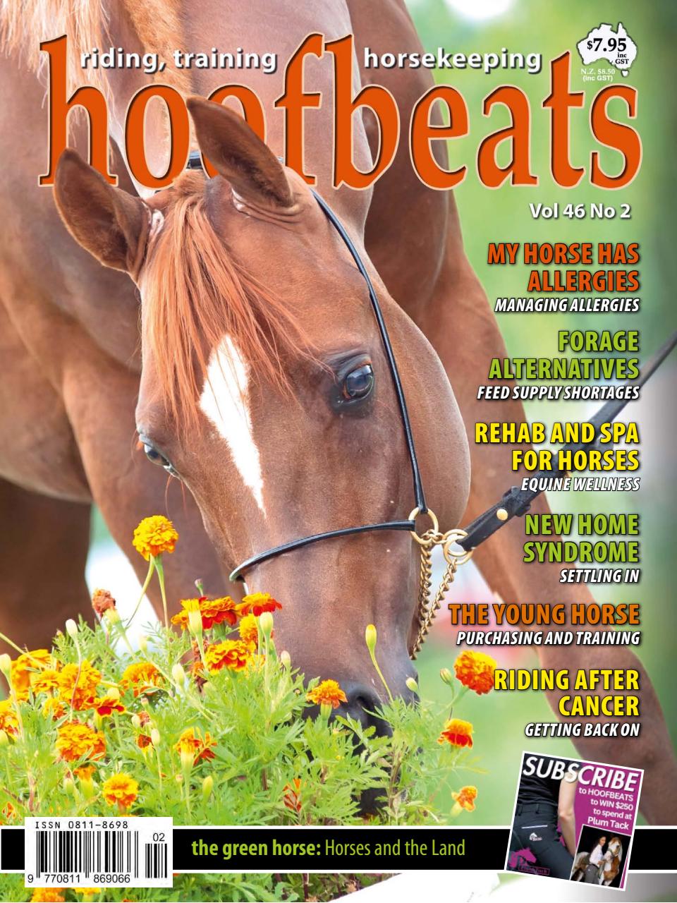 Hoofbeats Preview Pages