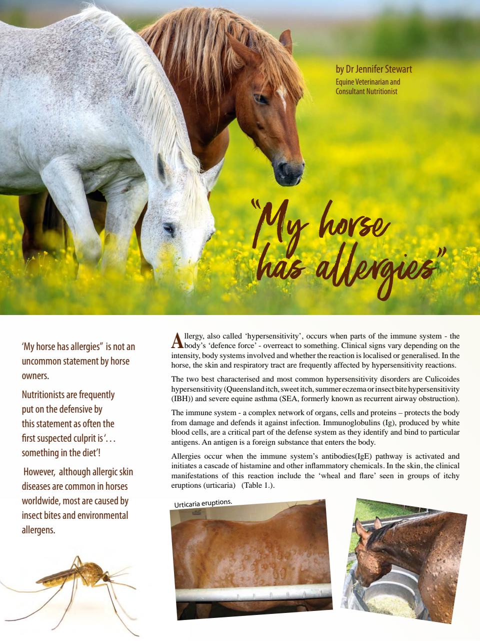 Hoofbeats Preview Pages