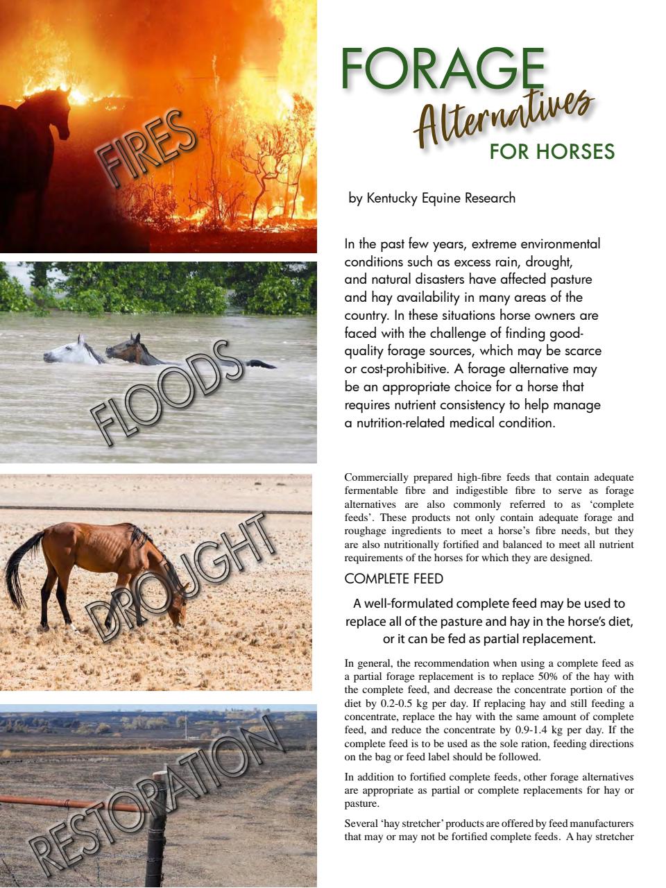 Hoofbeats Preview Pages