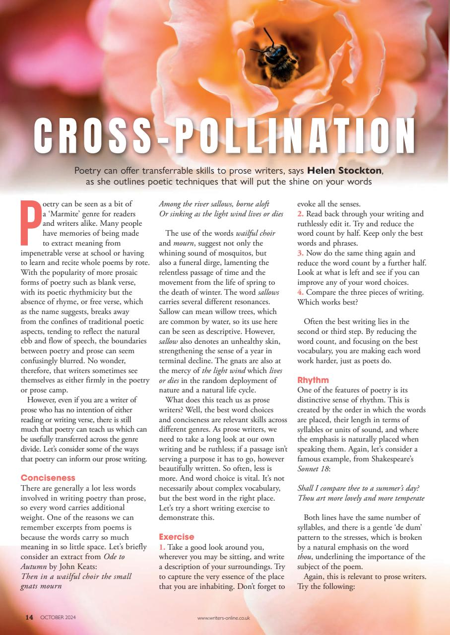 Writing Magazine Preview Pages