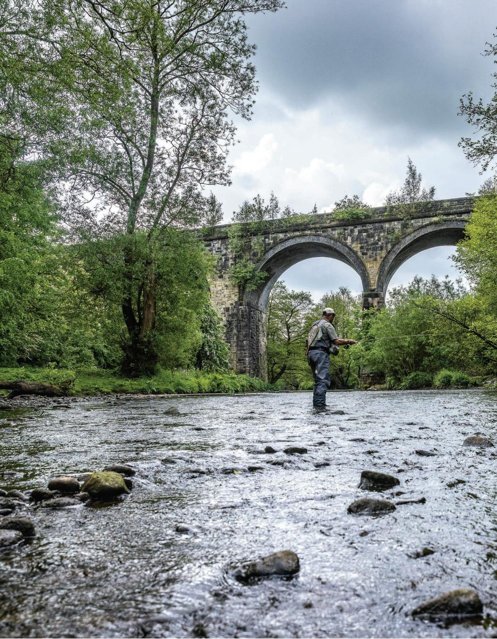 Trout & Salmon Preview Pages