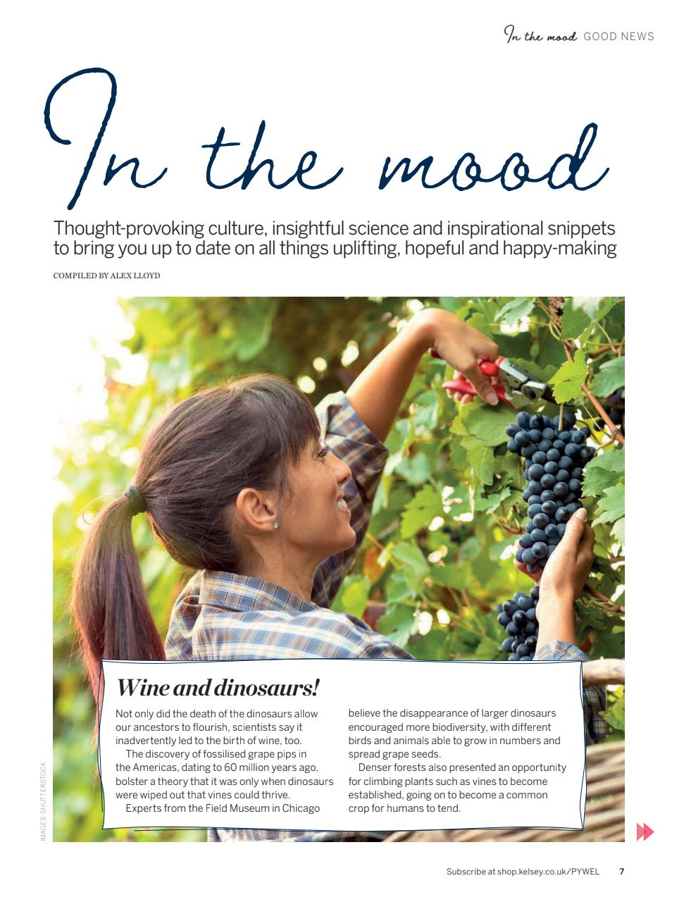 Psychologies Preview Pages