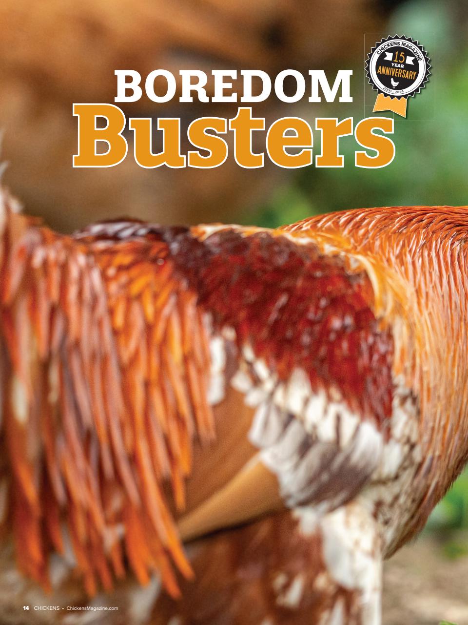 Chickens Magazine Preview Pages