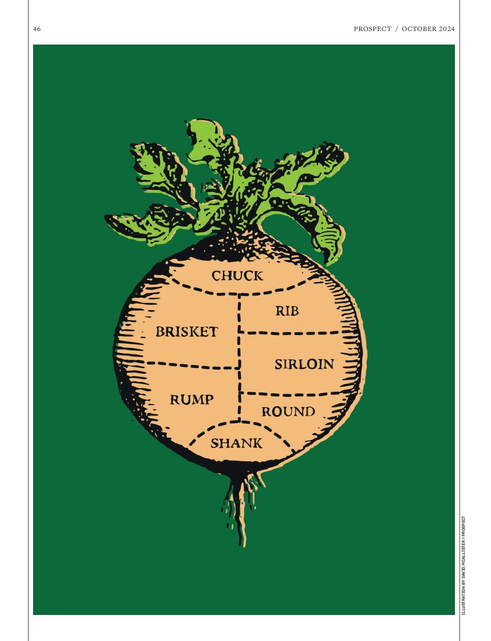 Prospect Magazine Preview Pages