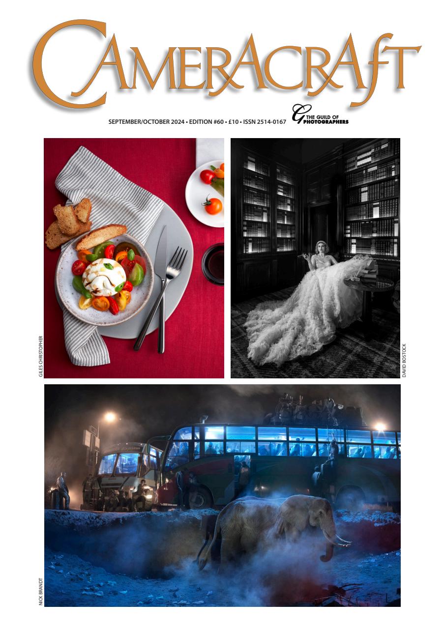 f2 Cameracraft Preview Pages