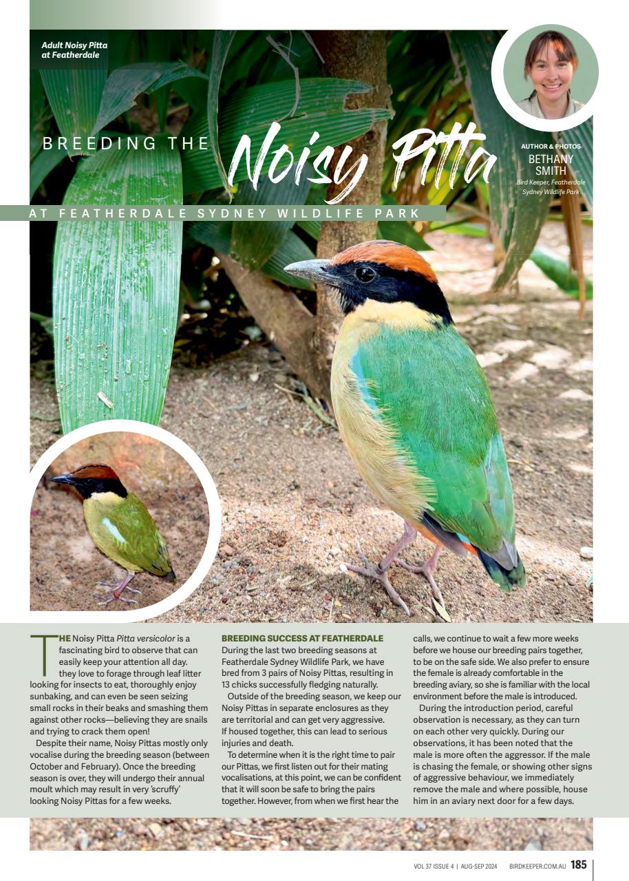 Australian Birdkeeper Magazine Preview Pages