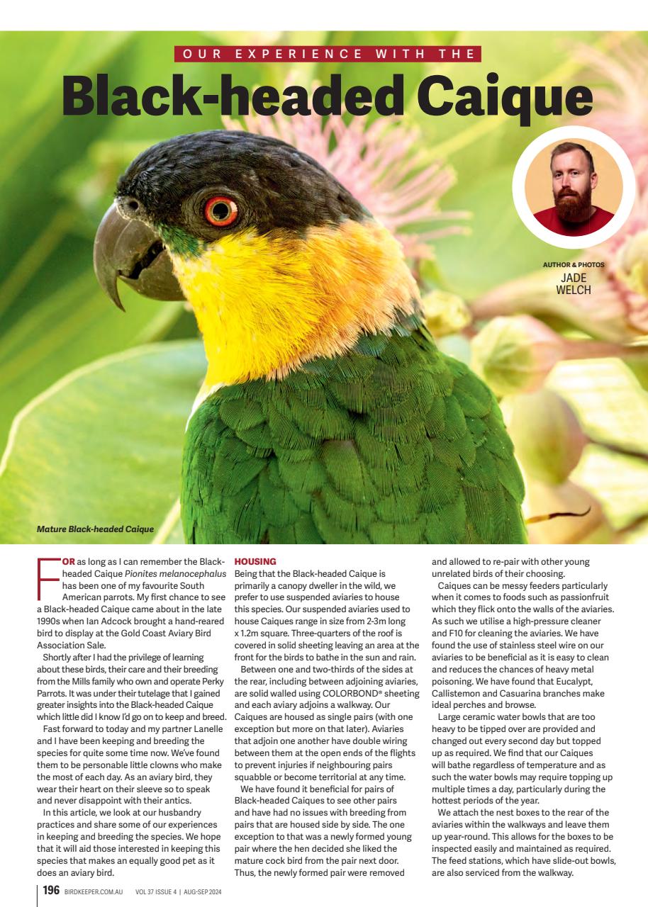 Australian Birdkeeper Magazine Preview Pages