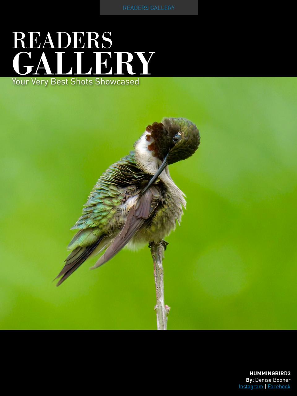 Photography Masterclass Magazine Preview Pages