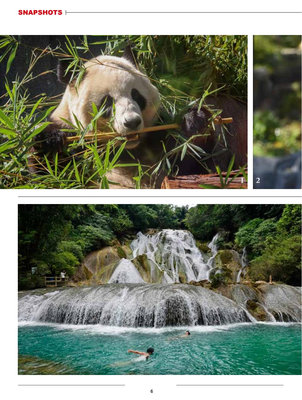 China Report Preview Pages