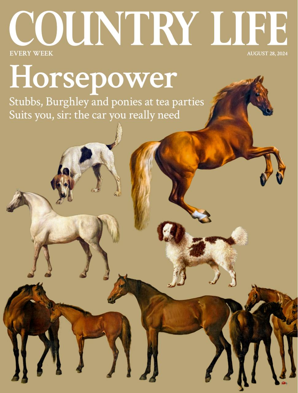 Country Life Preview Pages
