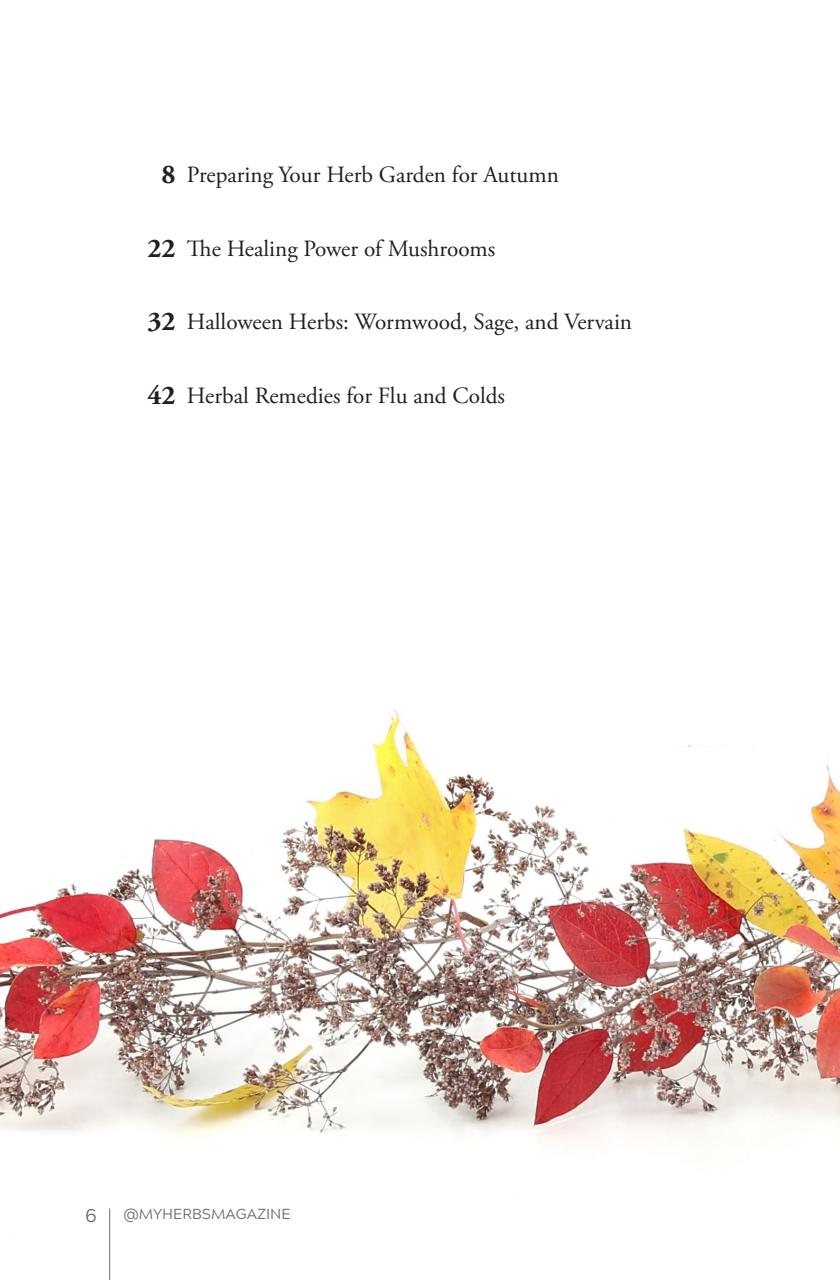 My Herbs Magazine Preview Pages