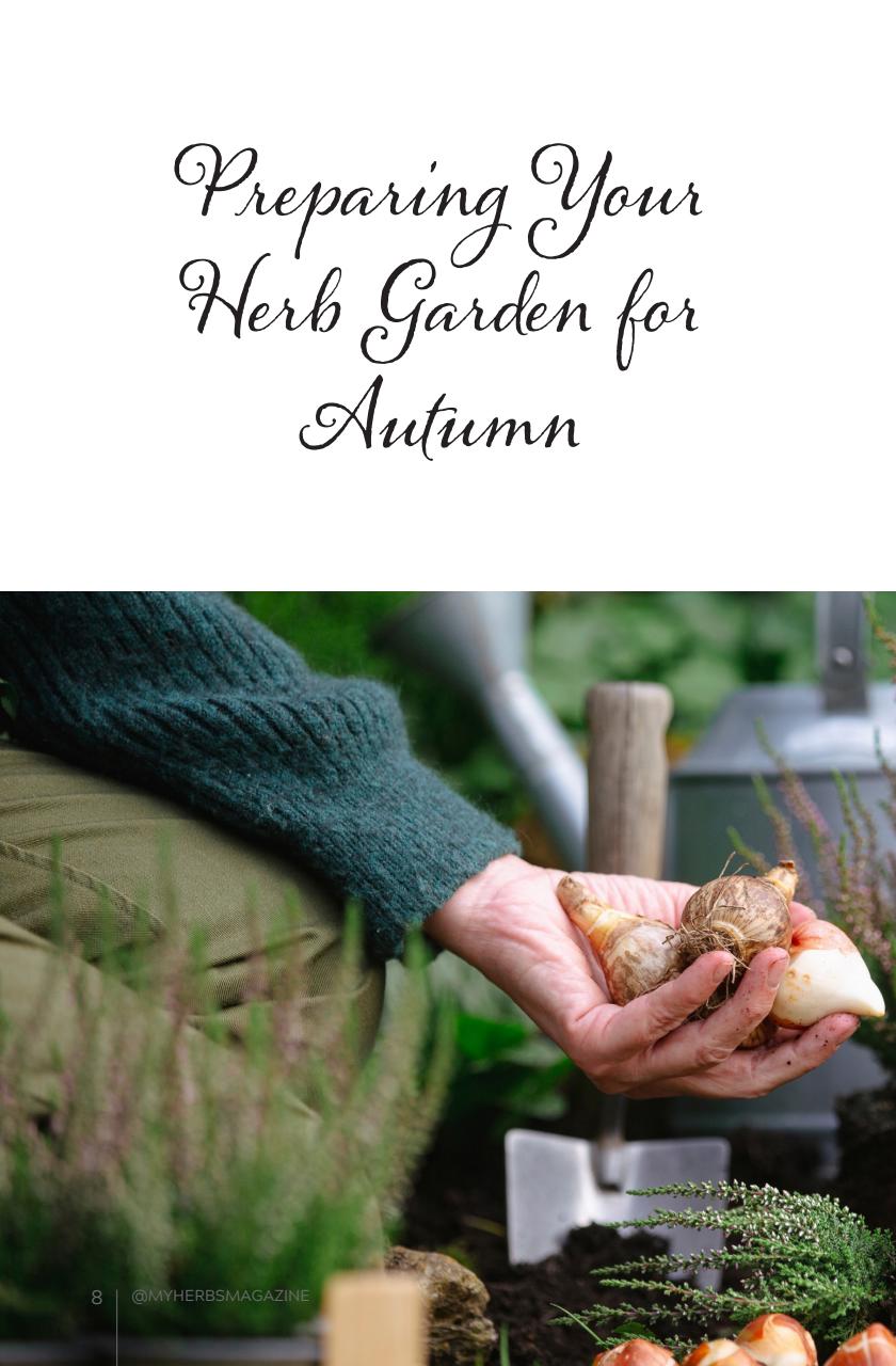 My Herbs Magazine Preview Pages