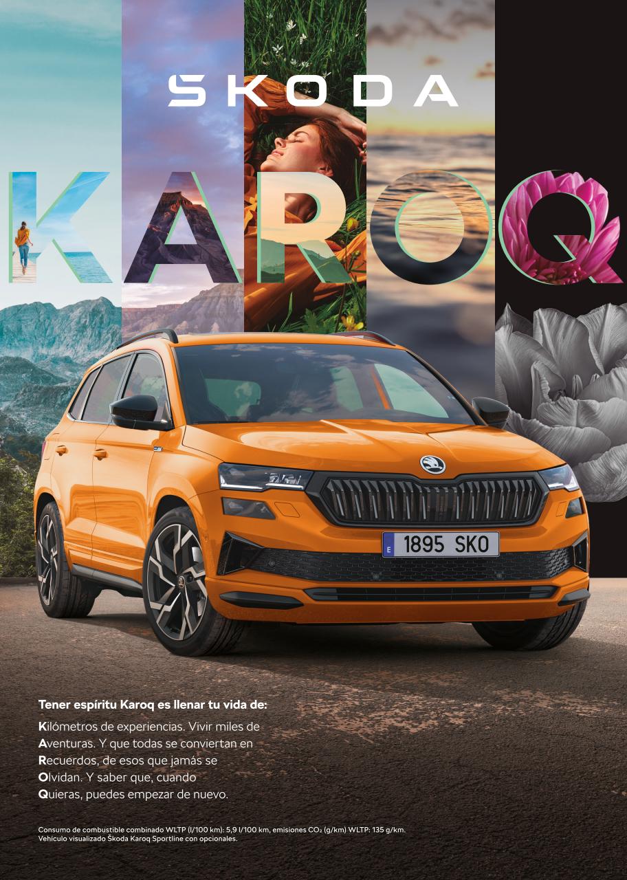 Auto Bild Preview Pages