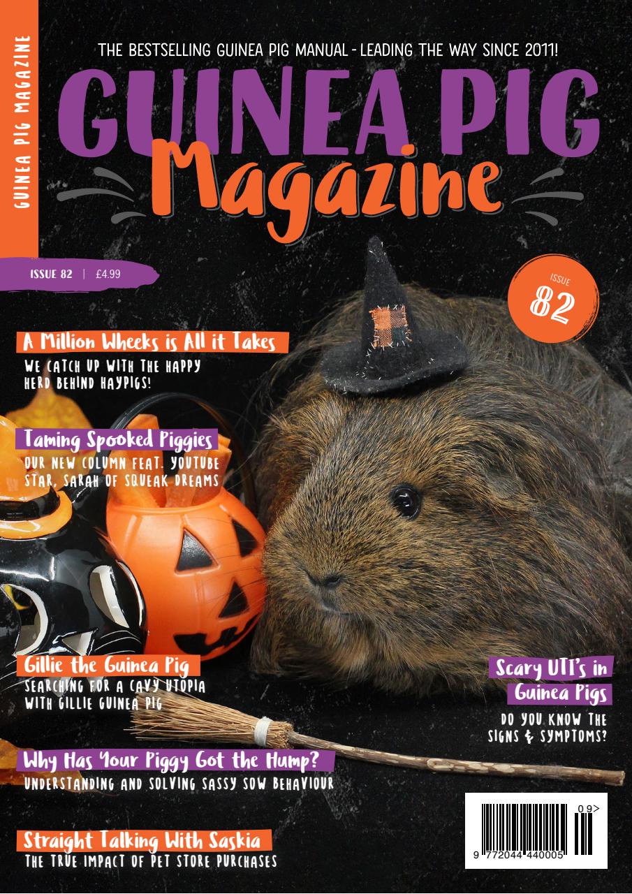 Guinea Pig Magazine Preview Pages