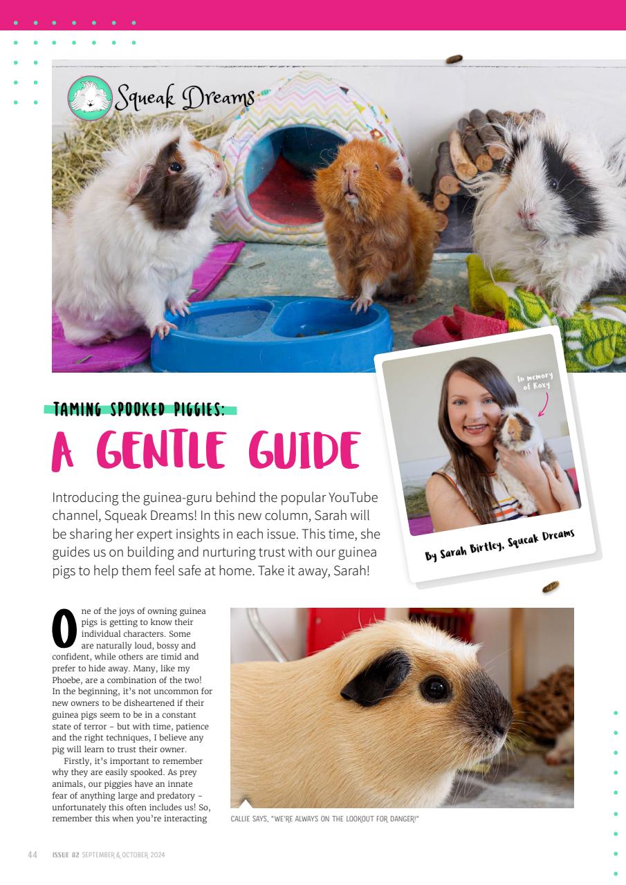 Guinea Pig Magazine Preview Pages