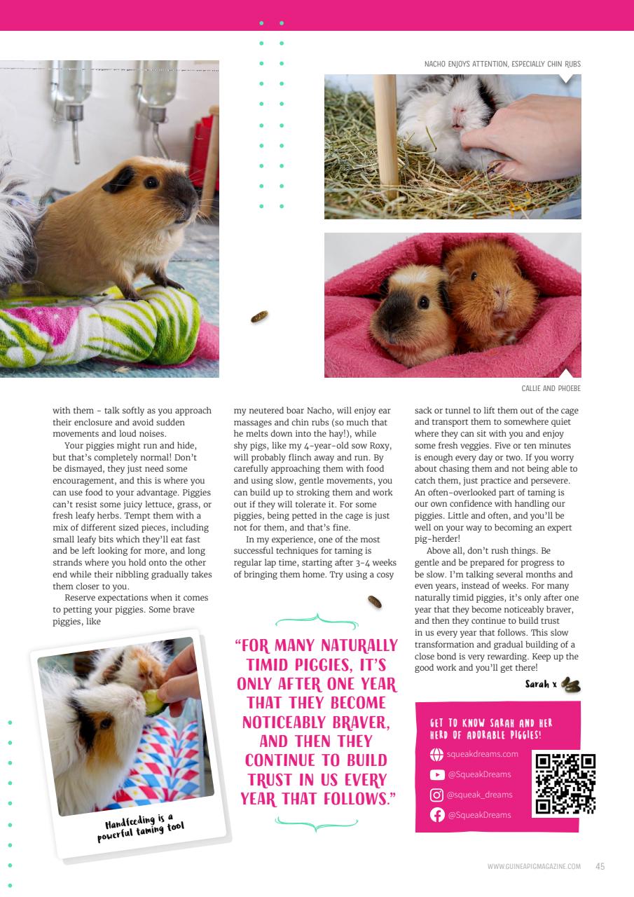 Guinea Pig Magazine Preview Pages