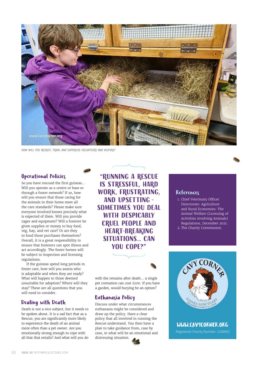 Guinea Pig Magazine Preview Pages