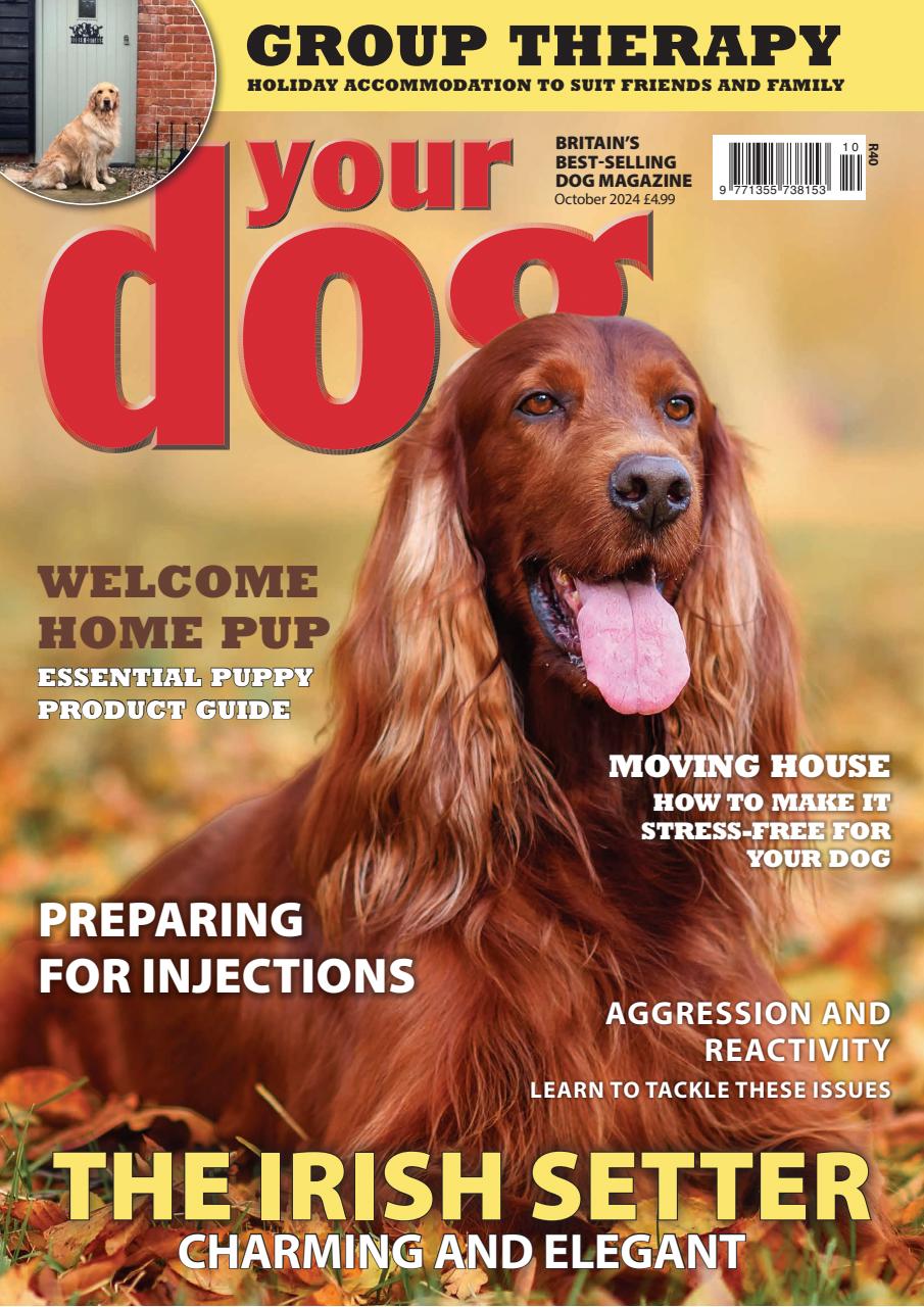 Your Dog Preview Pages