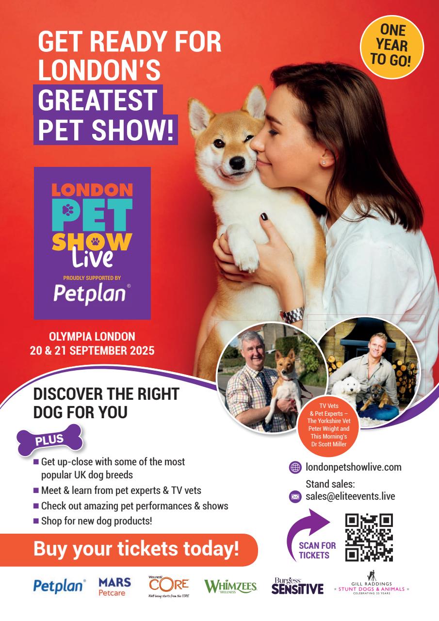 Your Dog Preview Pages