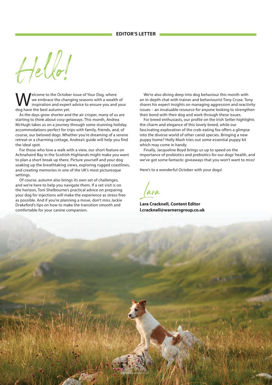 Your Dog Preview Pages