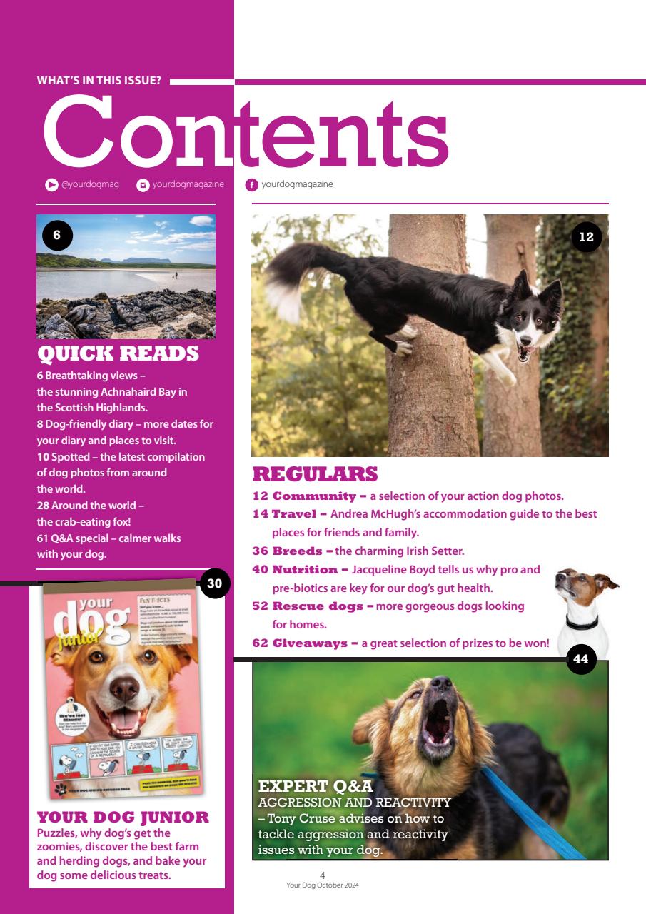 Your Dog Preview Pages