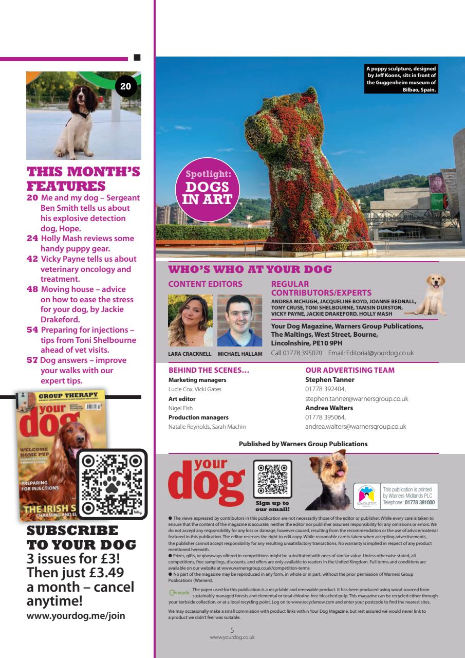 Your Dog Preview Pages