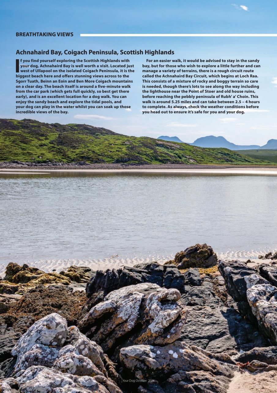 Your Dog Preview Pages