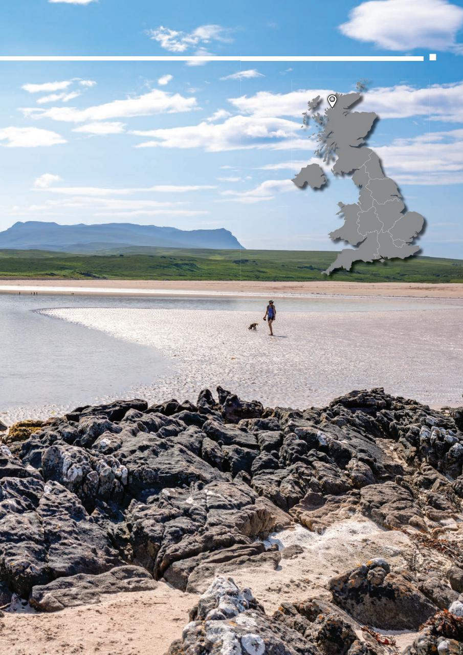 Your Dog Preview Pages