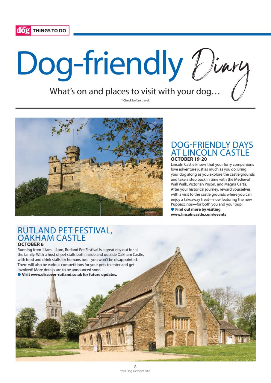 Your Dog Preview Pages