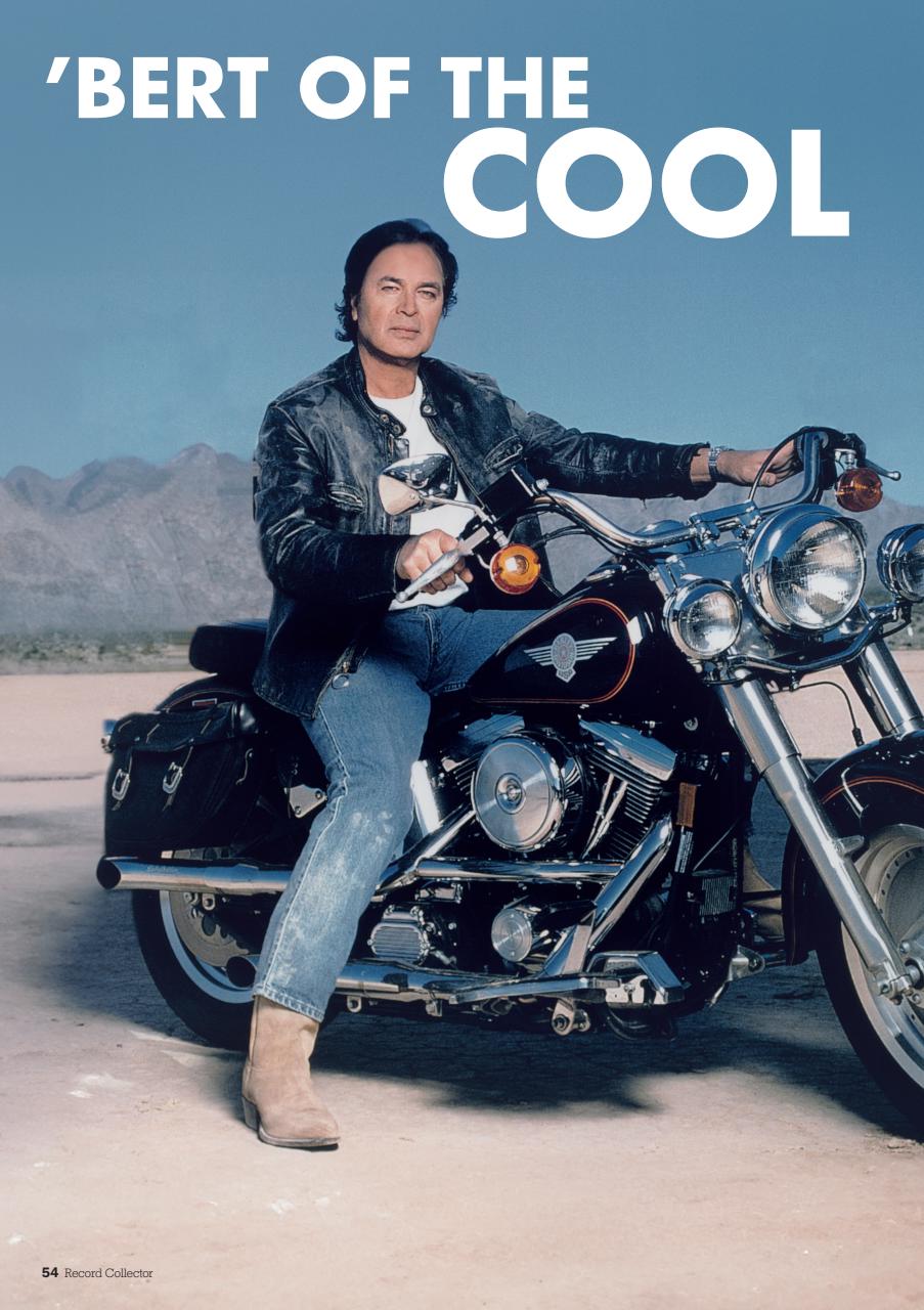 Record Collector Preview Pages