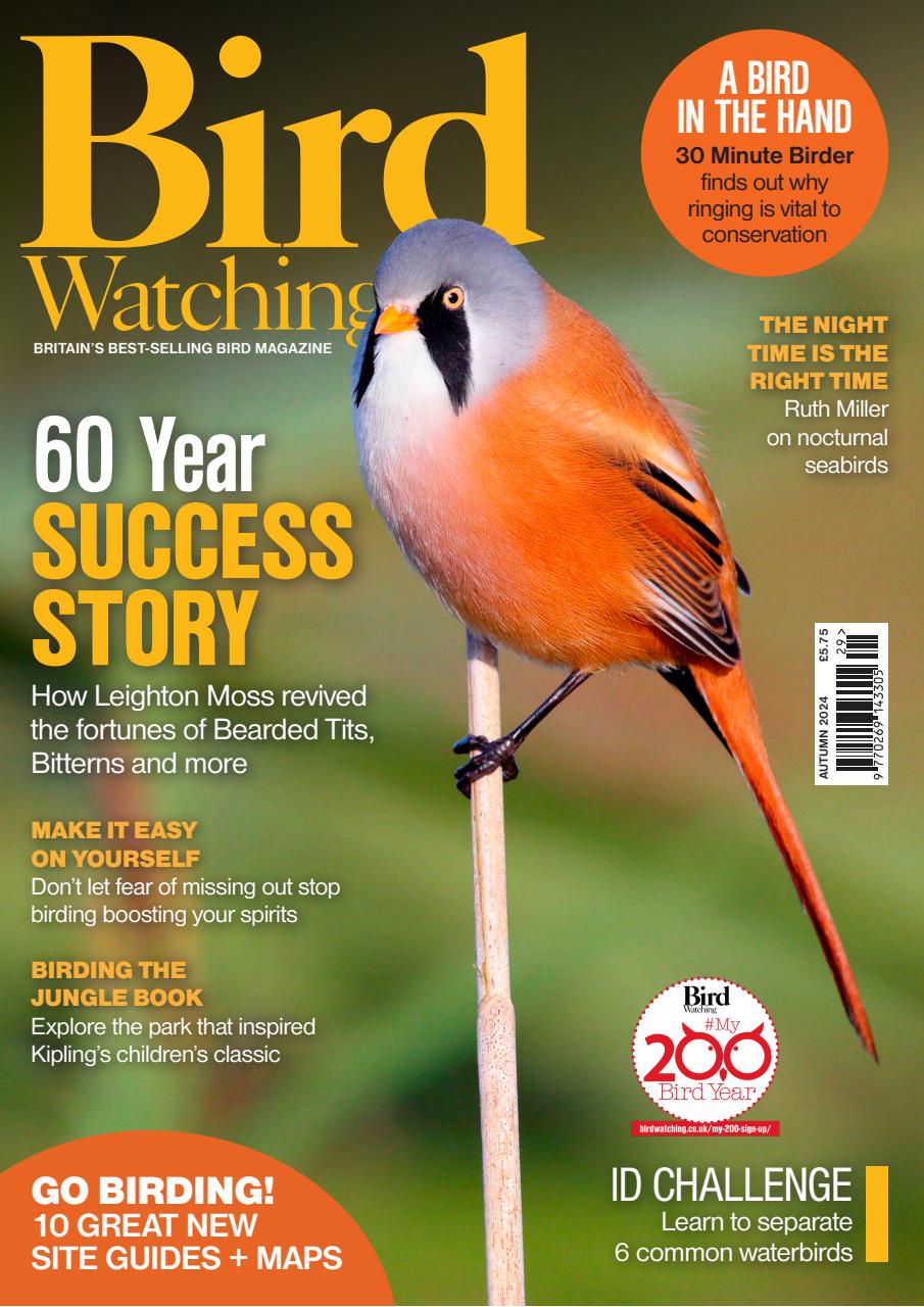 Bird Watching Preview Pages