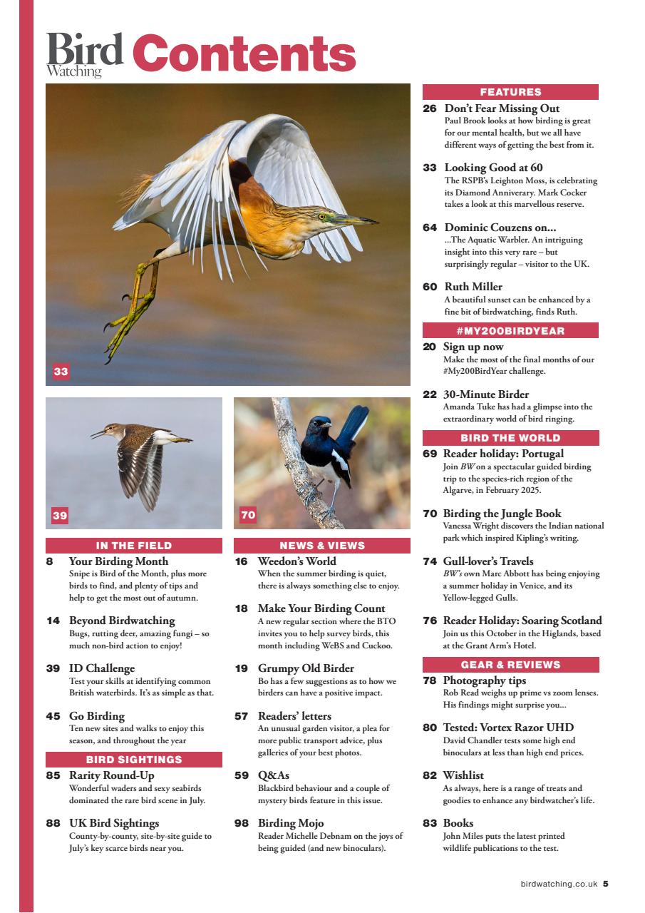 Bird Watching Preview Pages