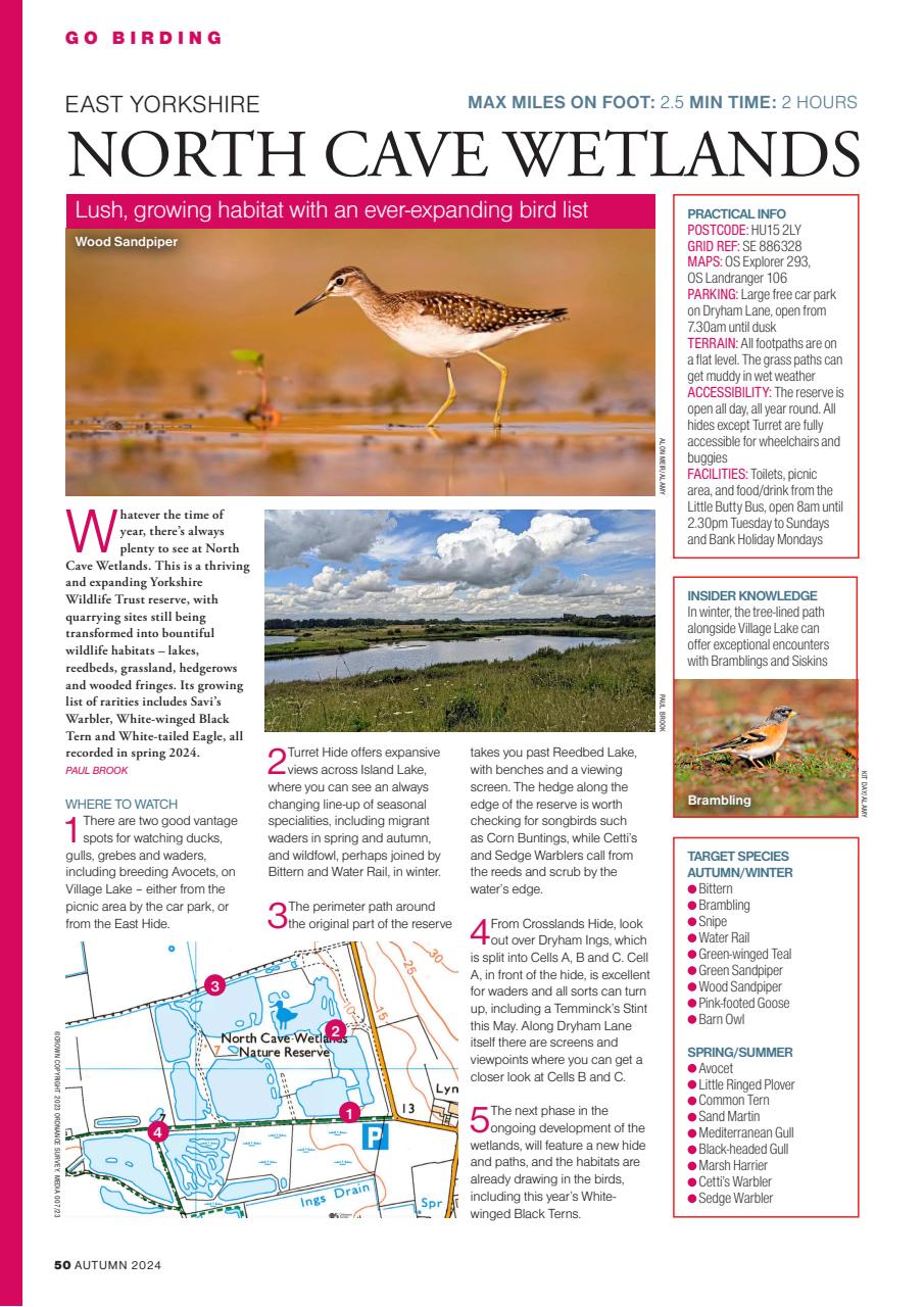 Bird Watching Preview Pages