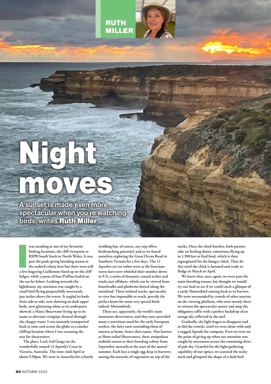 Bird Watching Preview Pages