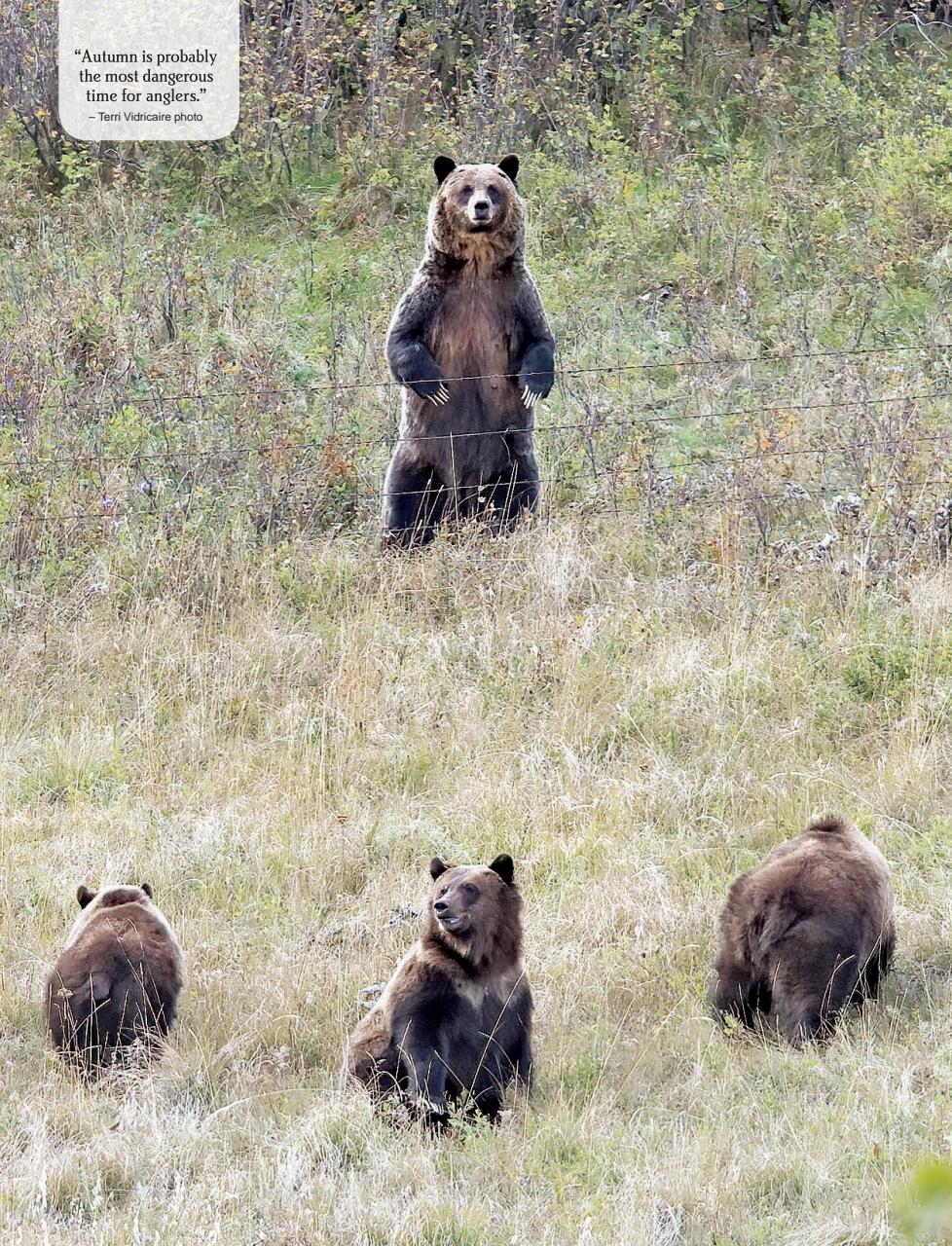 Alberta Outdoors Preview Pages