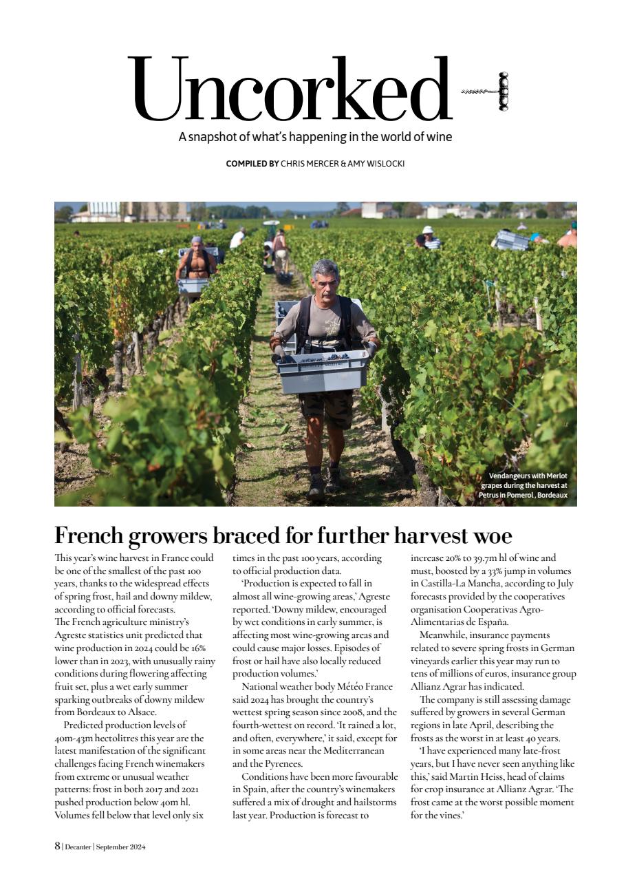 Decanter Preview Pages