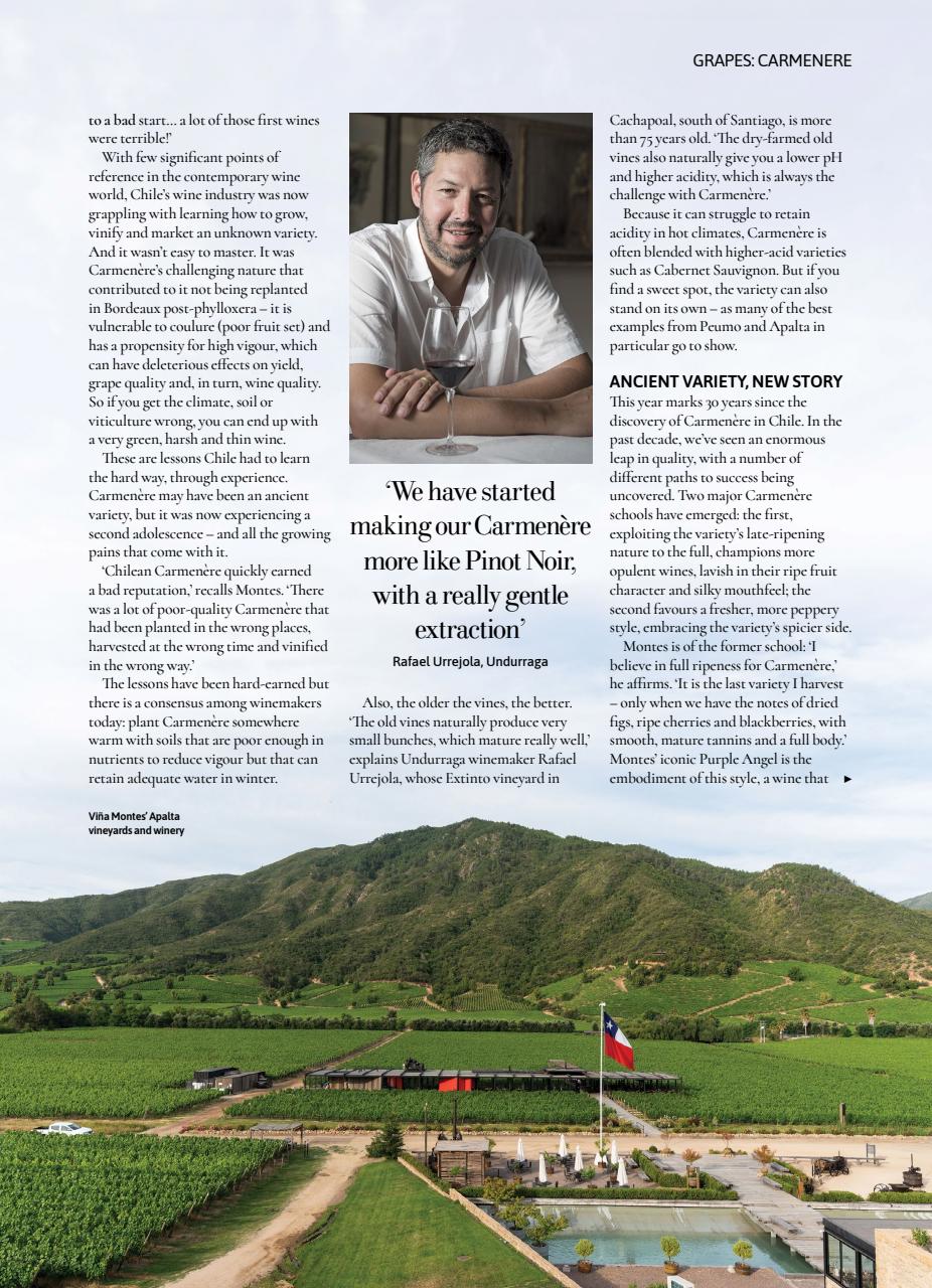 Decanter Preview Pages