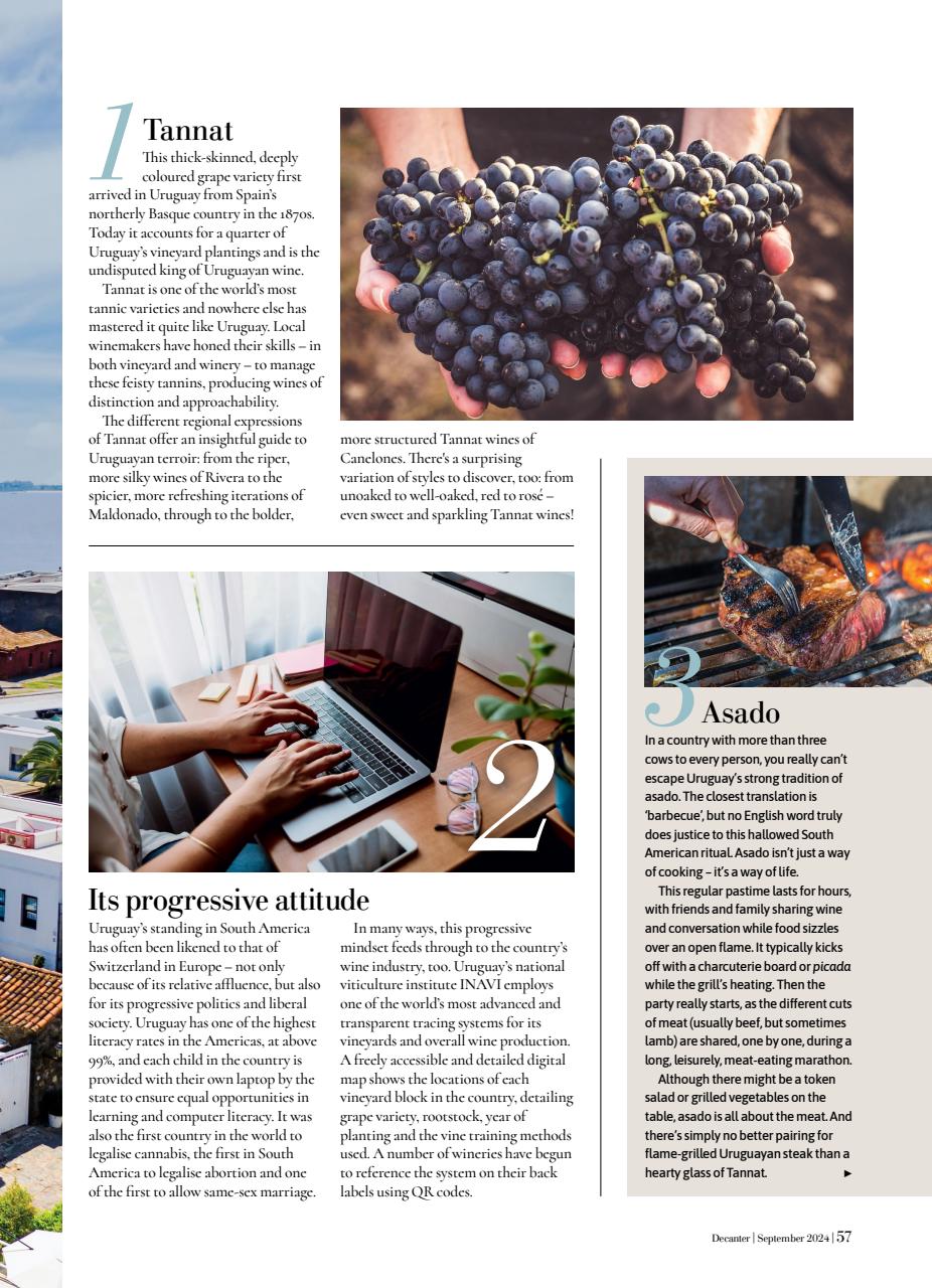 Decanter Preview Pages
