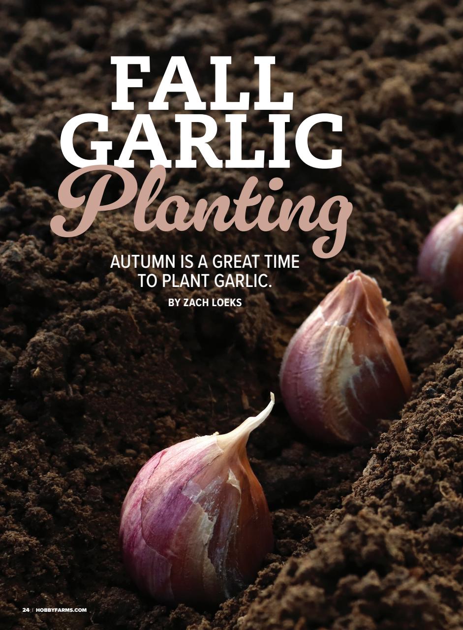 Hobby Farms Magazine Preview Pages